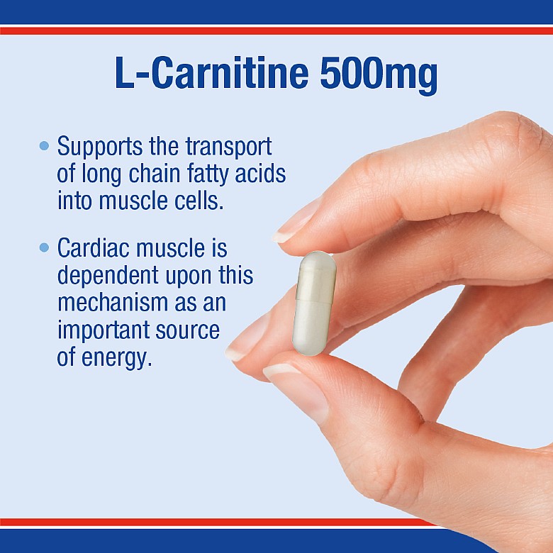 L-Carnitine 500mg Capsule 60's